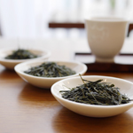 cafepage_seminerpage_shokyu_photo01_B
